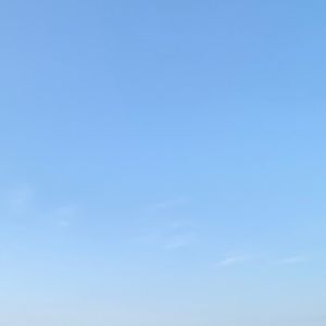 Meet your Posher, El